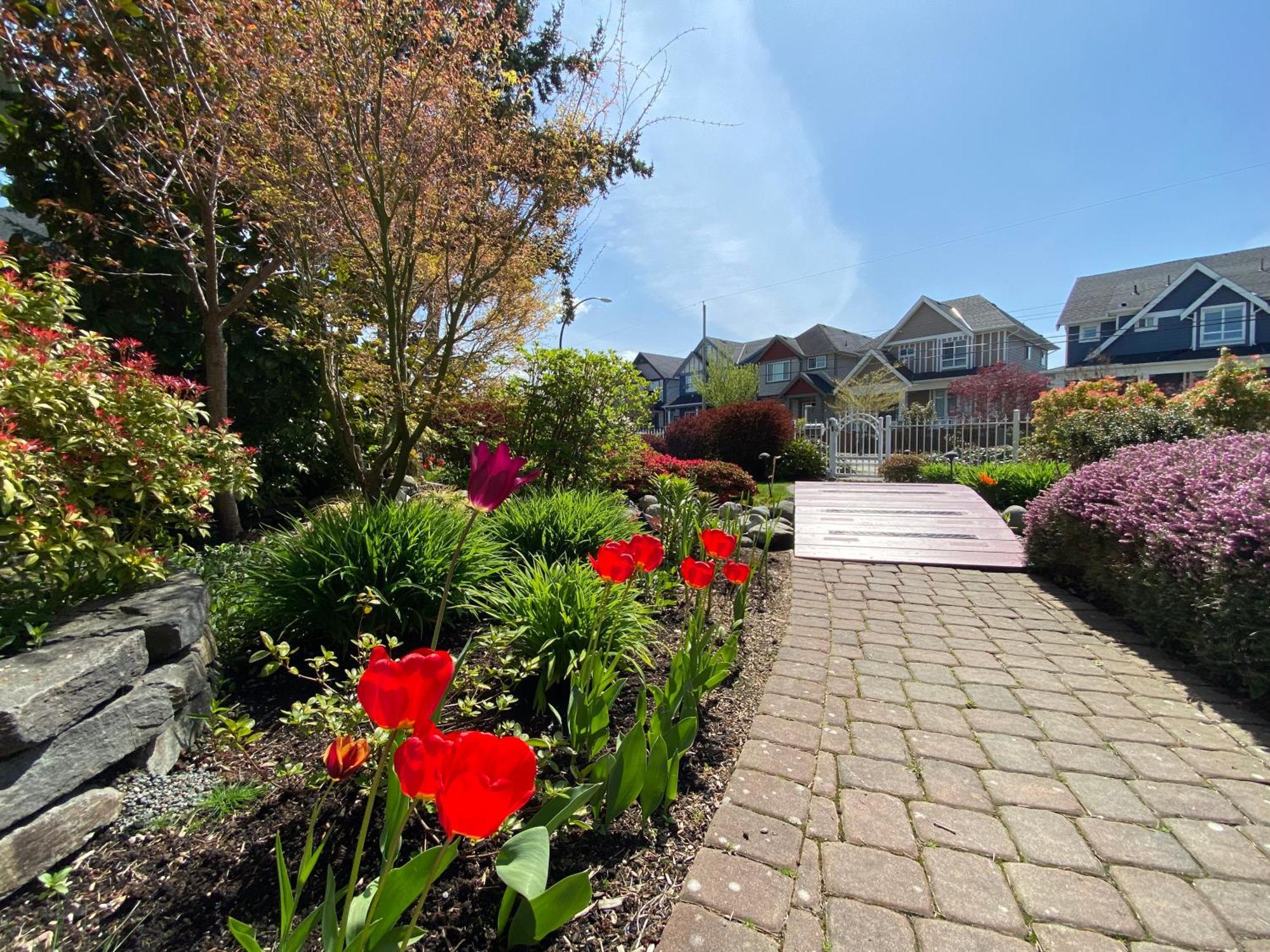 Mae Sweet Home Surrey Ngoại thất bức ảnh